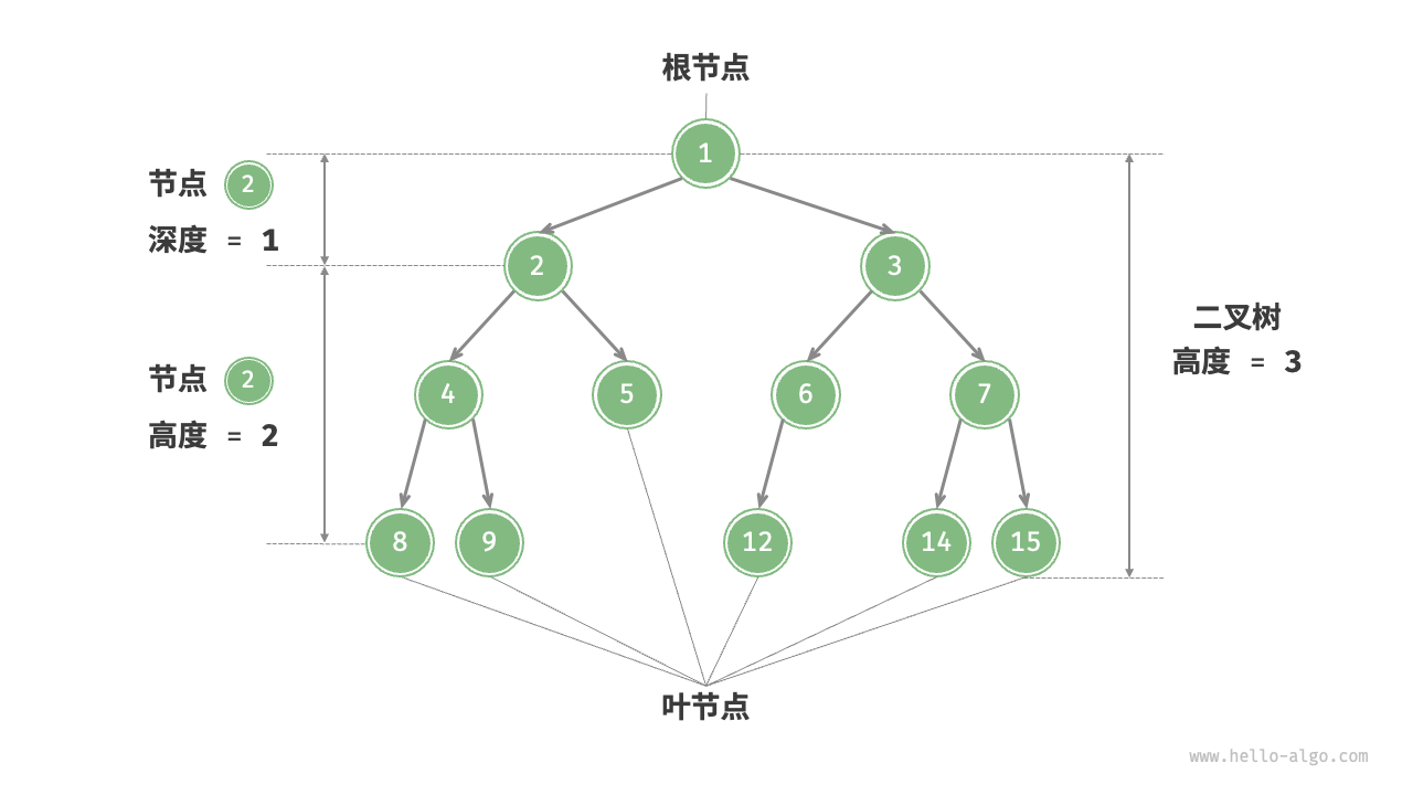 二叉树的常用术语